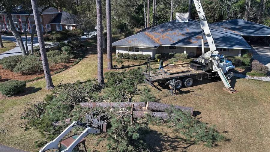 Tree removal in progress on a Covington lot