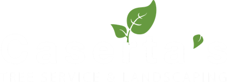 Caserta's Land Services logo